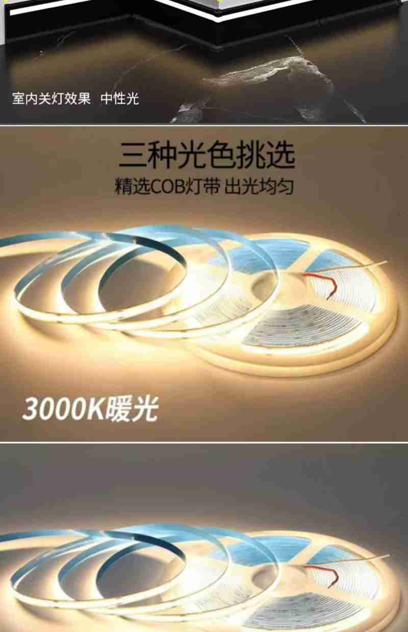 王志国